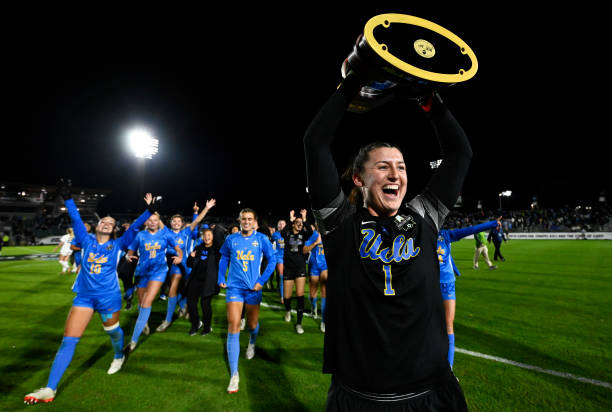 们对新设计 们对新设计