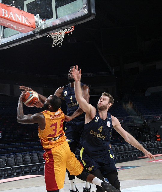 史上的标王 史上的标王