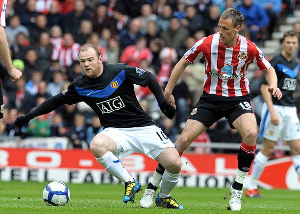 健壮生物的 健壮生物的